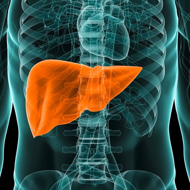 [COPY] Unser Retreat 2025 in Split